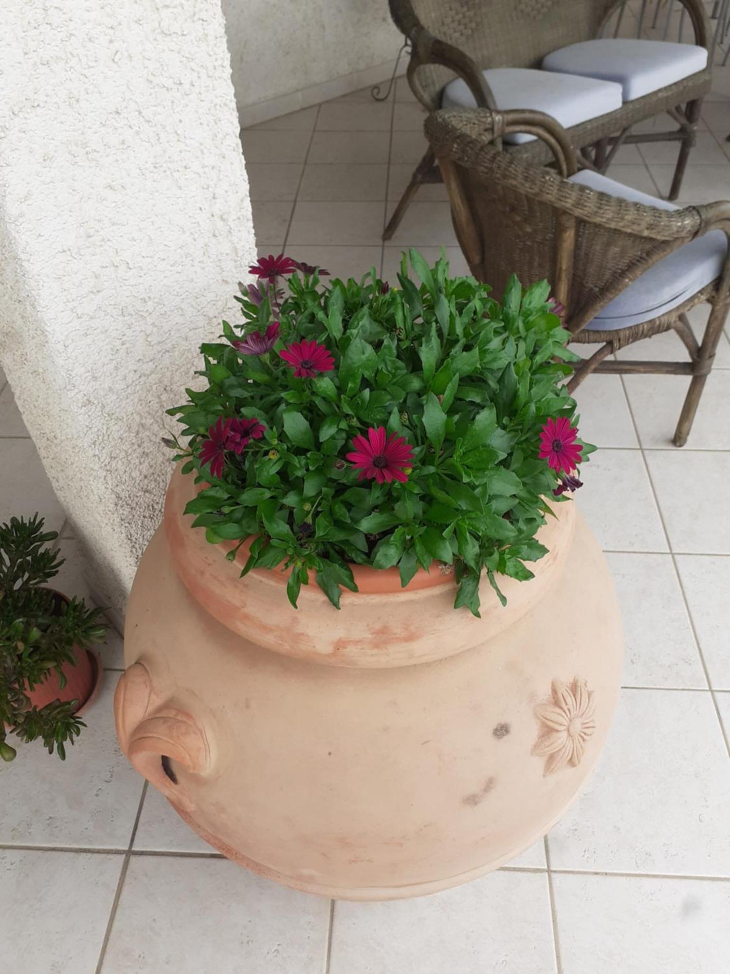 Hotel B&B Rispescia Grosseto Eksteriør billede