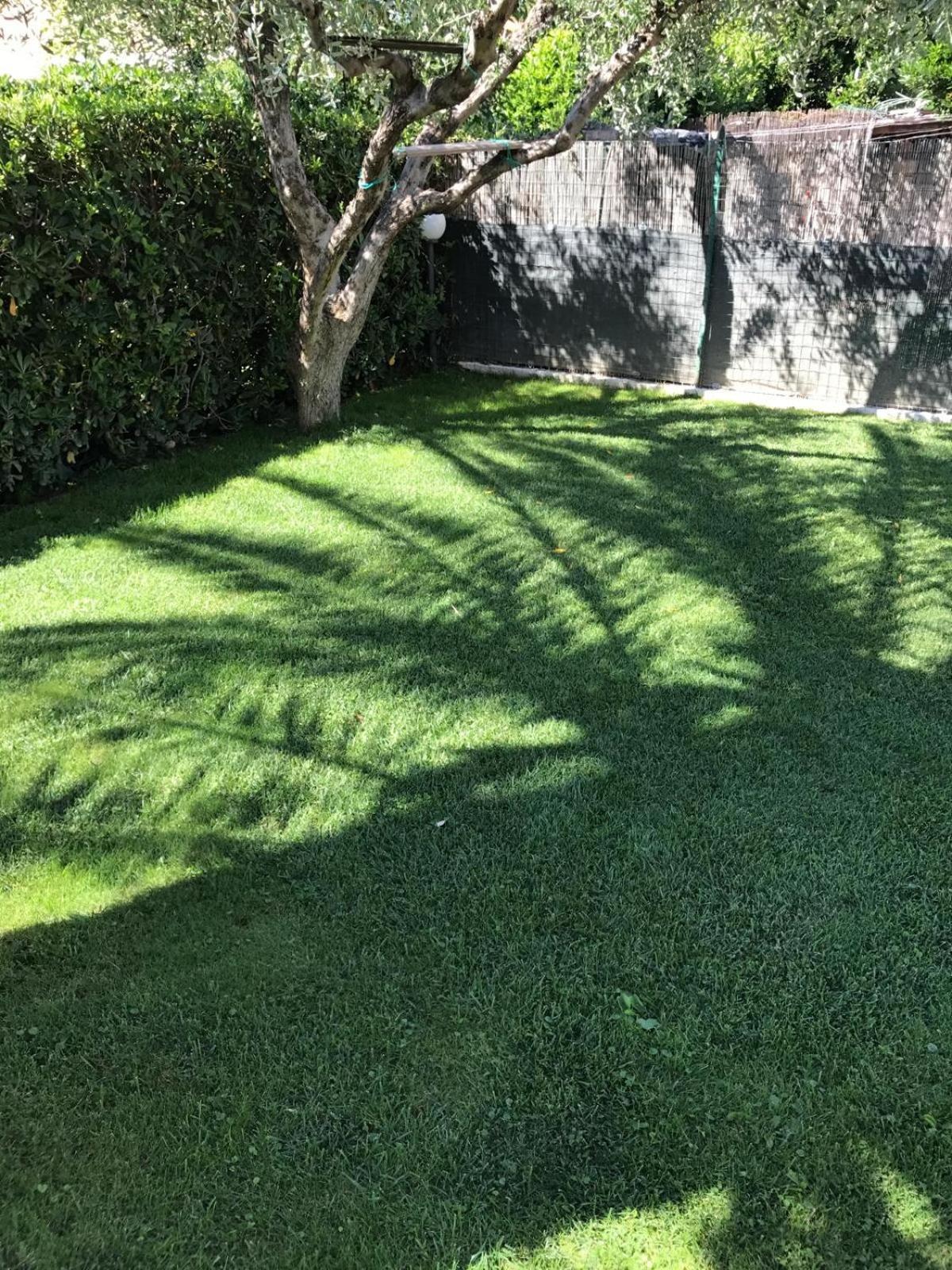 Hotel B&B Rispescia Grosseto Eksteriør billede