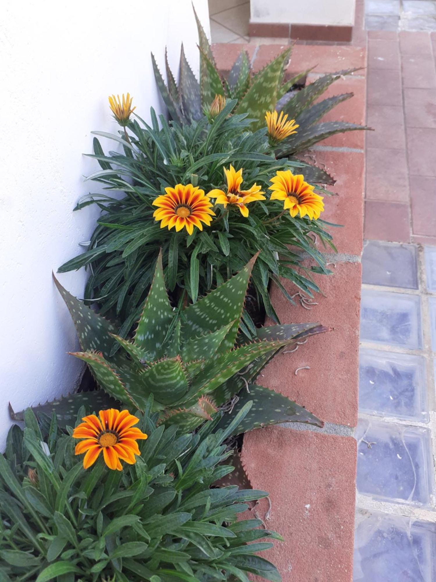 Hotel B&B Rispescia Grosseto Eksteriør billede
