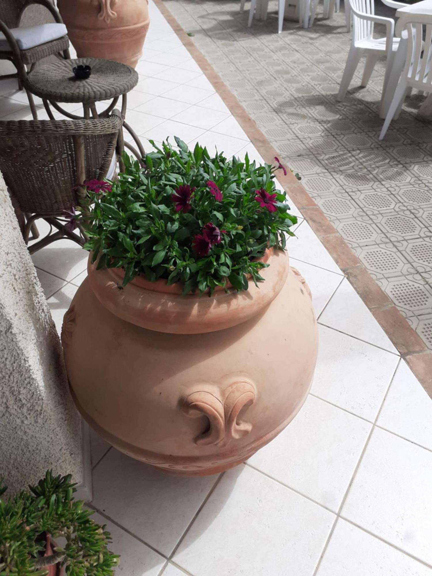 Hotel B&B Rispescia Grosseto Eksteriør billede