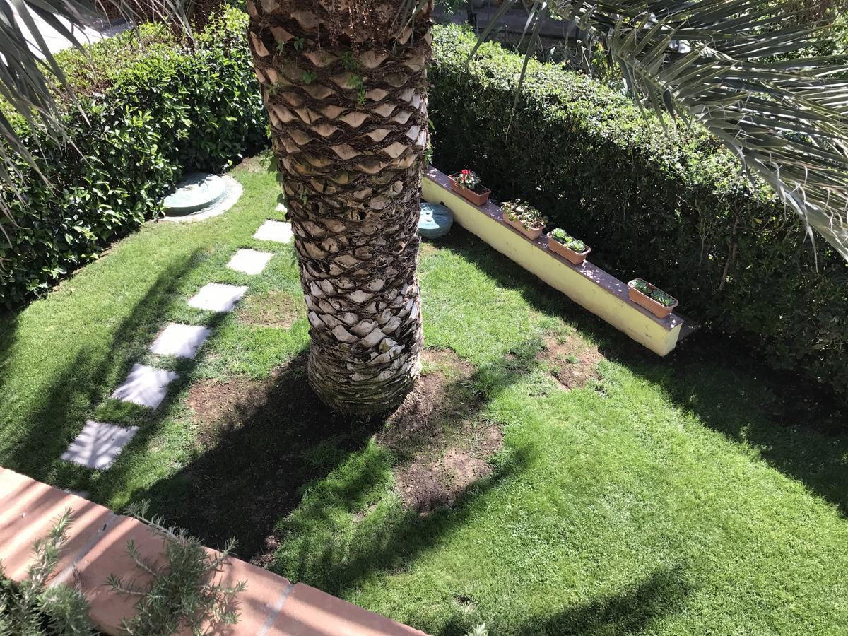 Hotel B&B Rispescia Grosseto Eksteriør billede